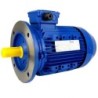 Silnik elektryczny 5.5kW - Tamel 3SG132S-4-IE3